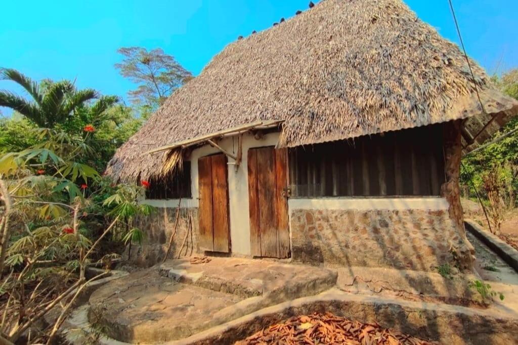 El Zopilote Vandrarhem Balgue Rum bild